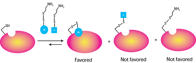 site-directed ligand discovery