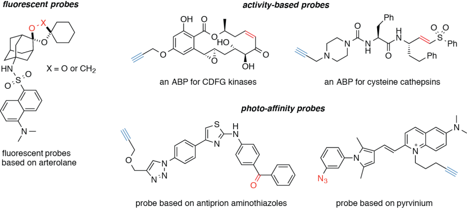 chemical probes