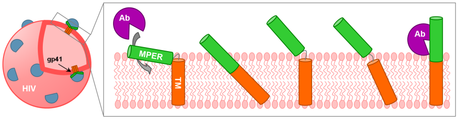 HIV Figure