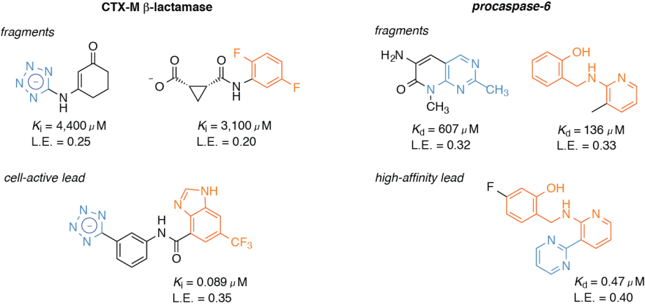 fragment-based lead discovery