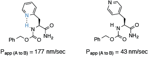 peptidomimetics