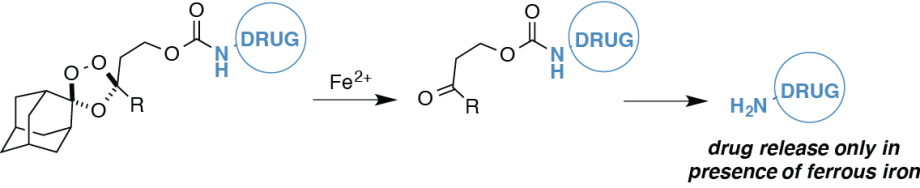 targeted drug delivery
