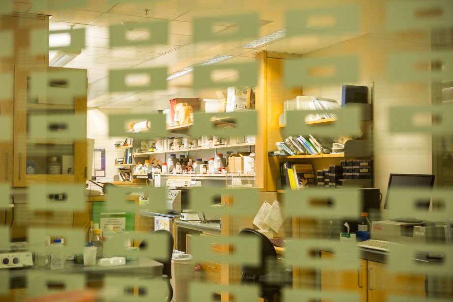 Gross Lab