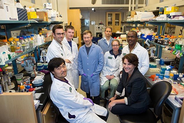 lab team