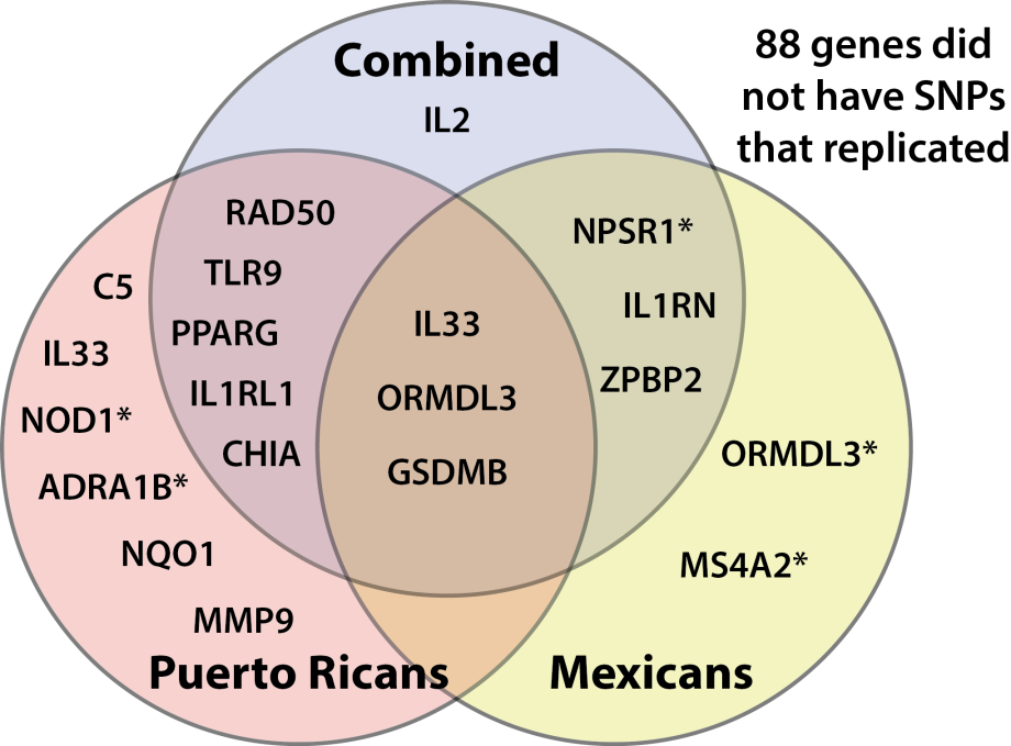replication venn diagram