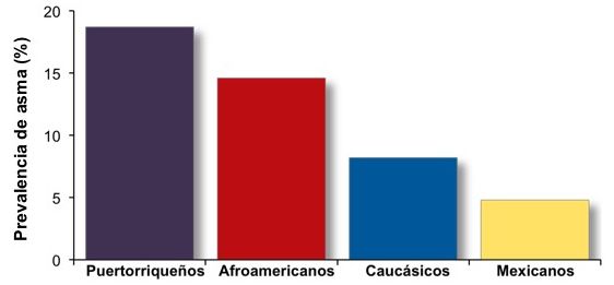 Prevalencia de asma (%)