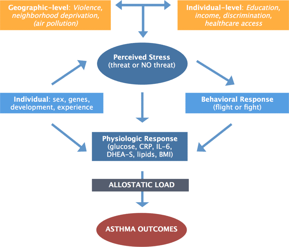 allostatic load asthma