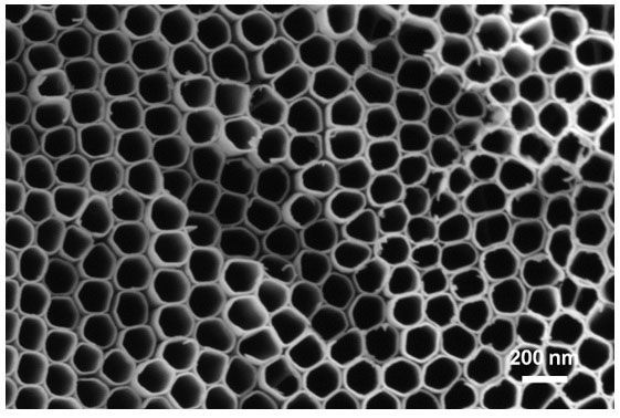nanotubes at 200 nm