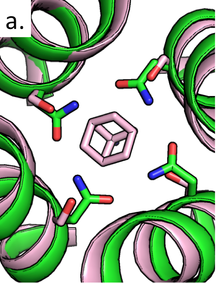 molecular illustration