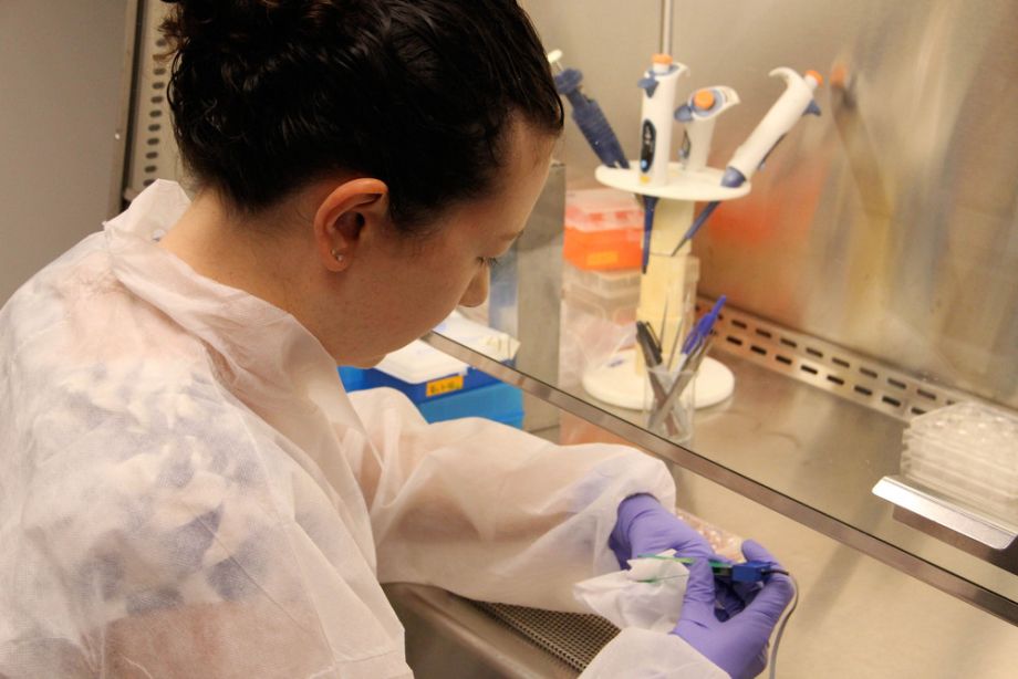 lab worker