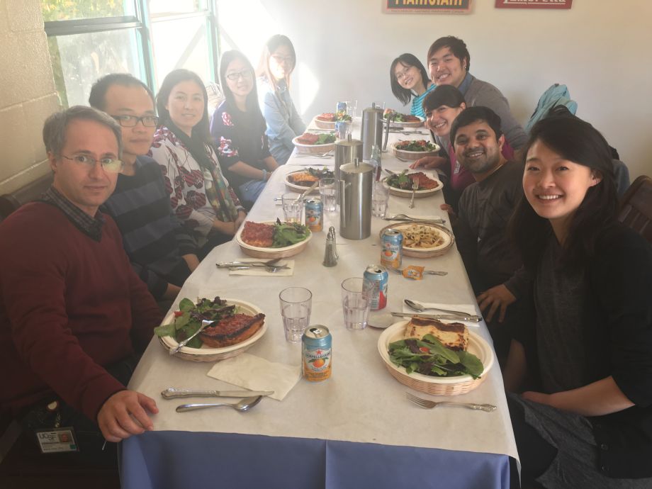 lab team