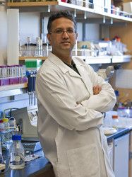 Shuvo Roy in lab