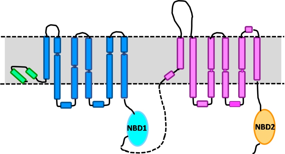 MRP4