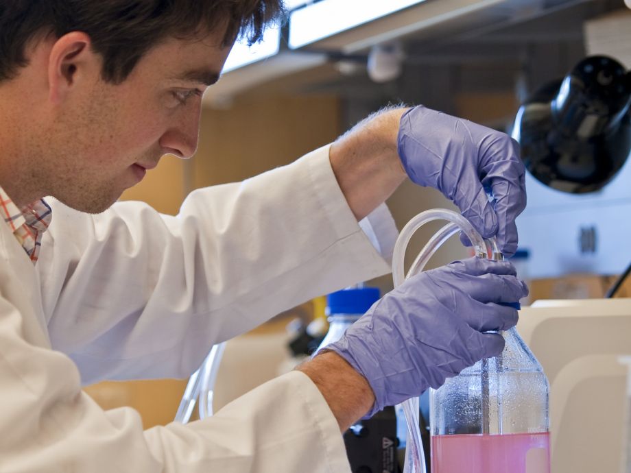 scientist working at bench