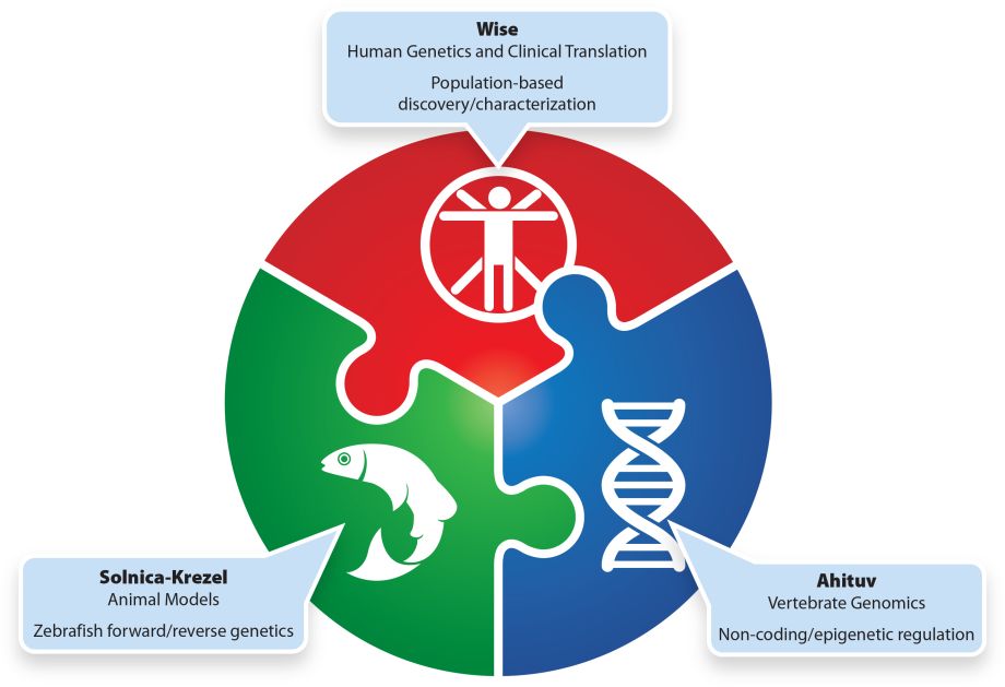 simple representation of how our three groups will work together