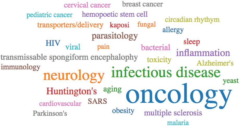 tag cloud showing words and phrases related to our research