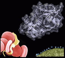 Infectious disease