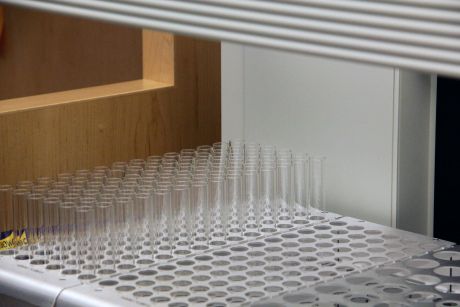 test tube rack
