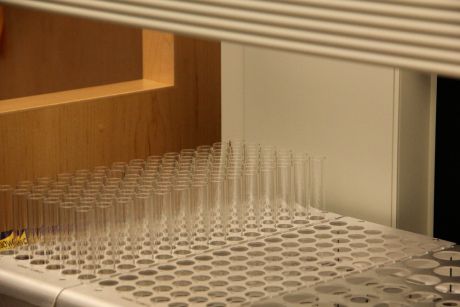test tubes
