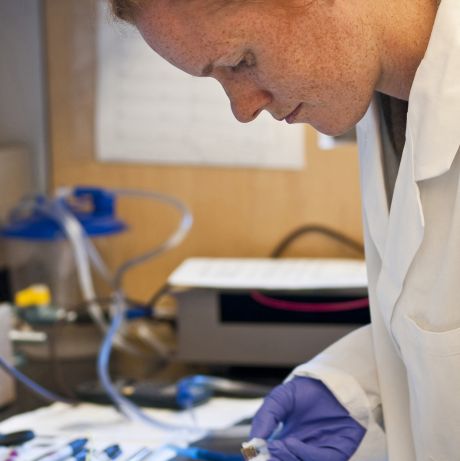 post-doc laboratory