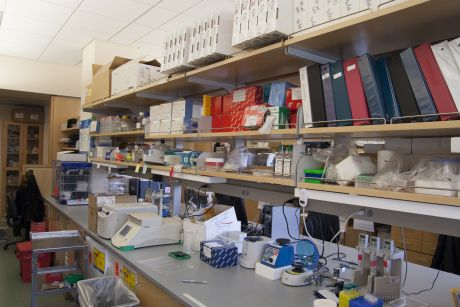 lab equipment