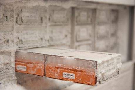 biosamples