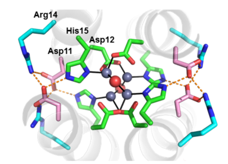 closeup of molecule