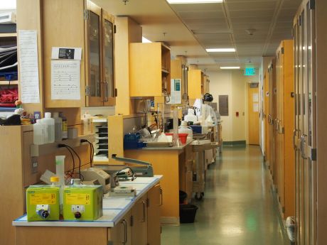 lab workspaces