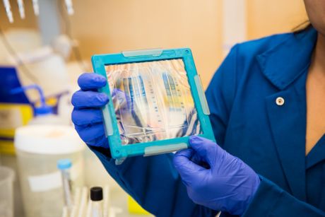 a scientist holds an object