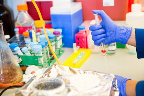 a scientist wearing gloves works with materials