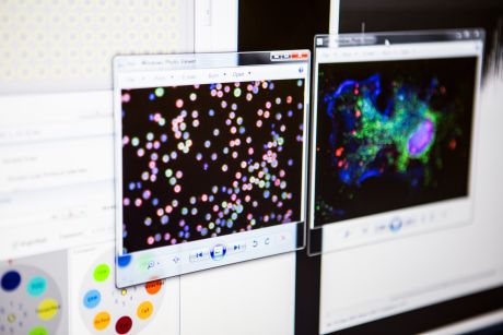 computer screens with visualizations