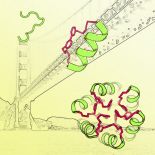 molecule and Golden Gate Bridge collage
