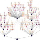 A branching network of protein systems