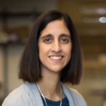 Desai