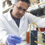 Roy working in his lab