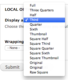 size selections menu