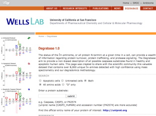 Degrabase screenshot