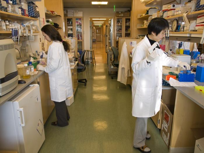 lab workers working