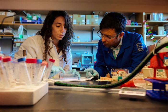 two researchers in a wet lab