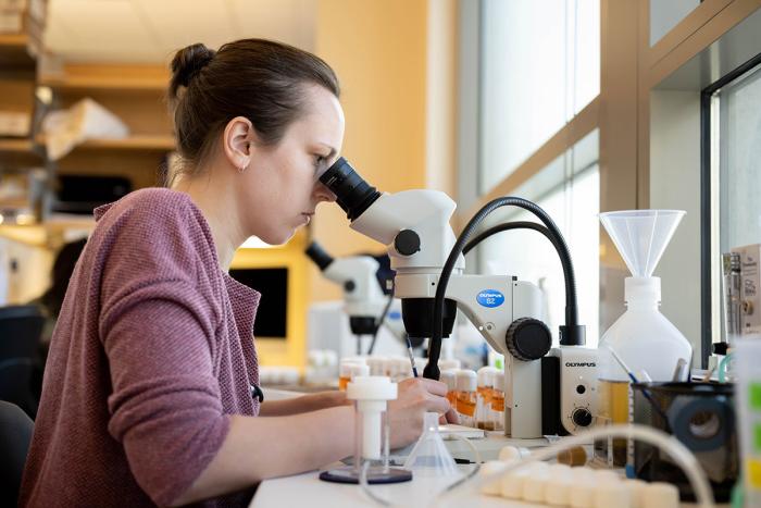 woman uses microscope in research lab